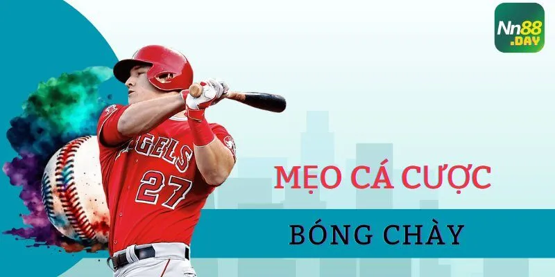Mẹo cá cược bóng chày giúp bạn nâng cao tỷ lệ thắng 